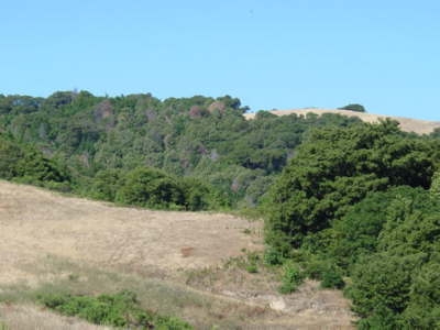 Big Sur, 2005