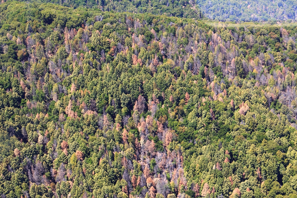 Humboldt County, 2006