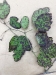 Blackberry Blackberry