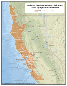 Confirmed counties with Sudden Oak Death caused by P. ramorum