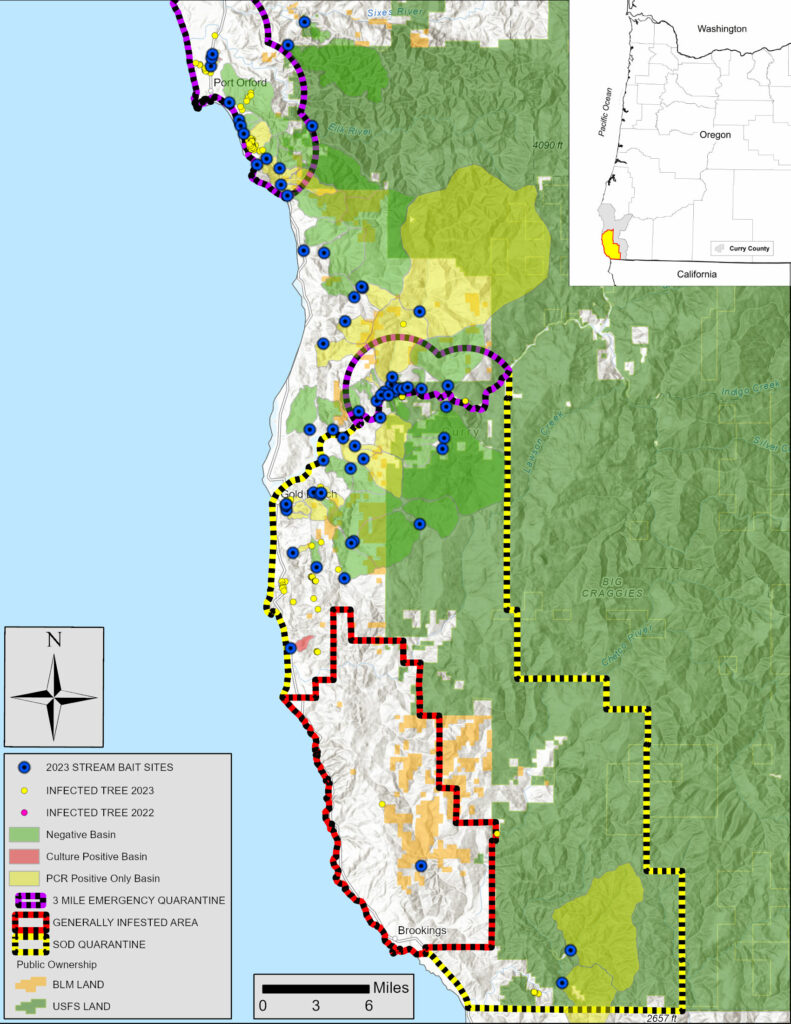 2023 Oregon P. ramorum stream bait sites.