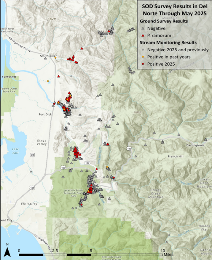 Current known extent of P. ramorum in Del Norte County